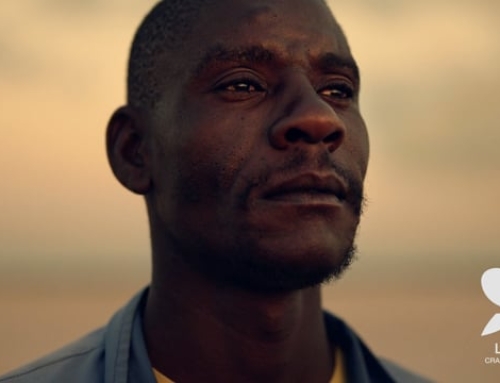 Okavango Diamond Company ‘The Light at The Start of Everything’