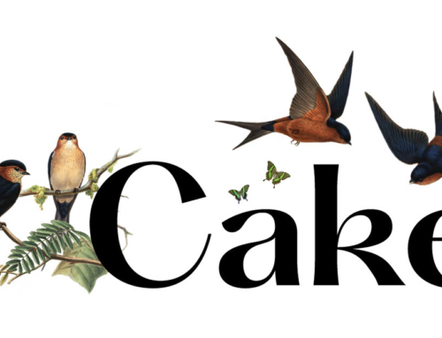 Cake expands, opens second film production office in the UK