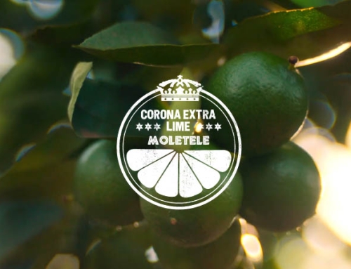 Corona ‘Moletele Limes Farm Project’