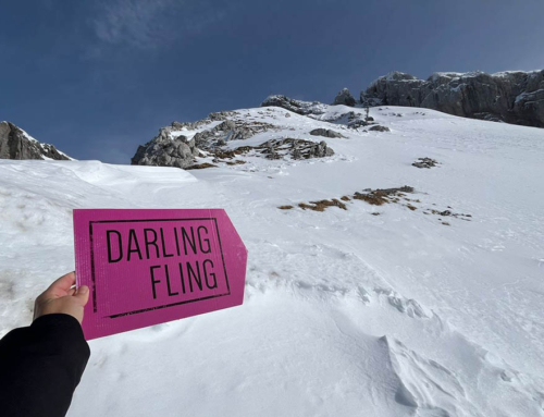 Darling Fling, solutions powerhouse pulls off Carling’s epic hero journey
