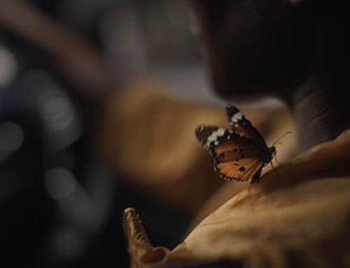 Ford – Next Gen Ranger ‘Unlimit Your World’ (Directors Cut)