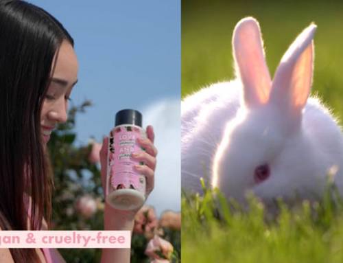 Love, Beauty and Planet ‘Earth Day’