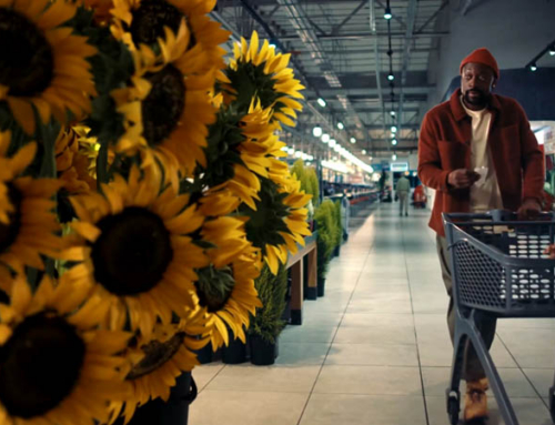 PnP ‘Come Home to Pick n Pay’