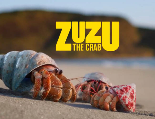 SC Johnson ‘Zuzu The Crab’